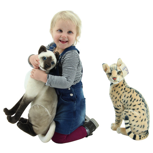 Leopard Kumpel – Sitzender Wildkatzenfreund