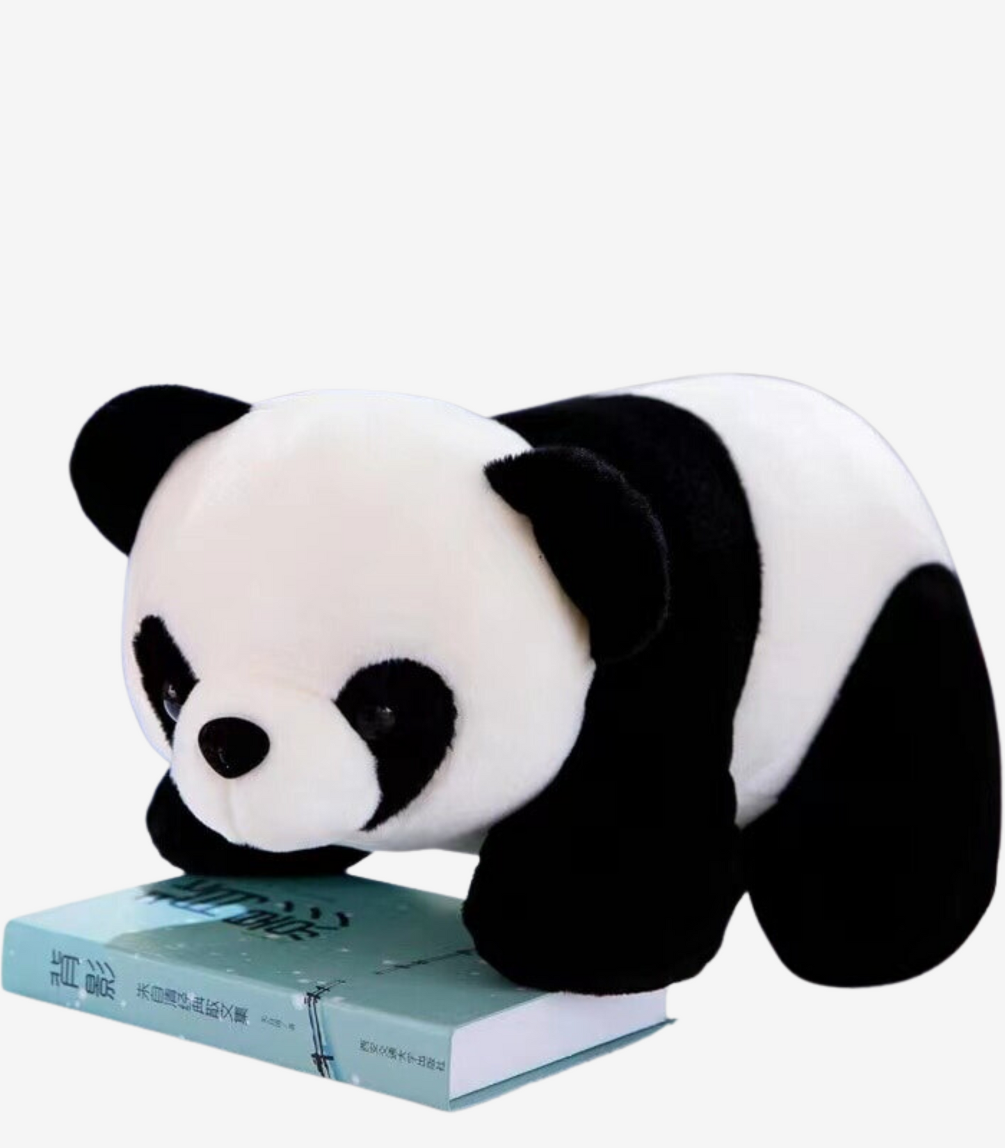 Panda Stofftier