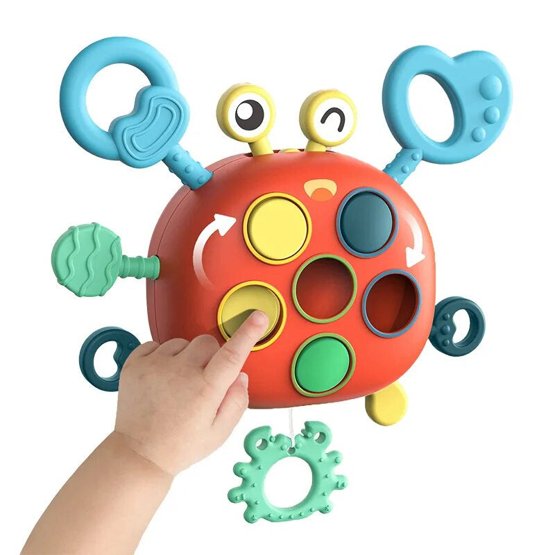 Sensory crab- zauberhafter motor - sensorisches spielzeug