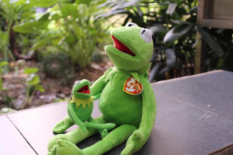 Niedlicher Grüner Frosch Plüsch