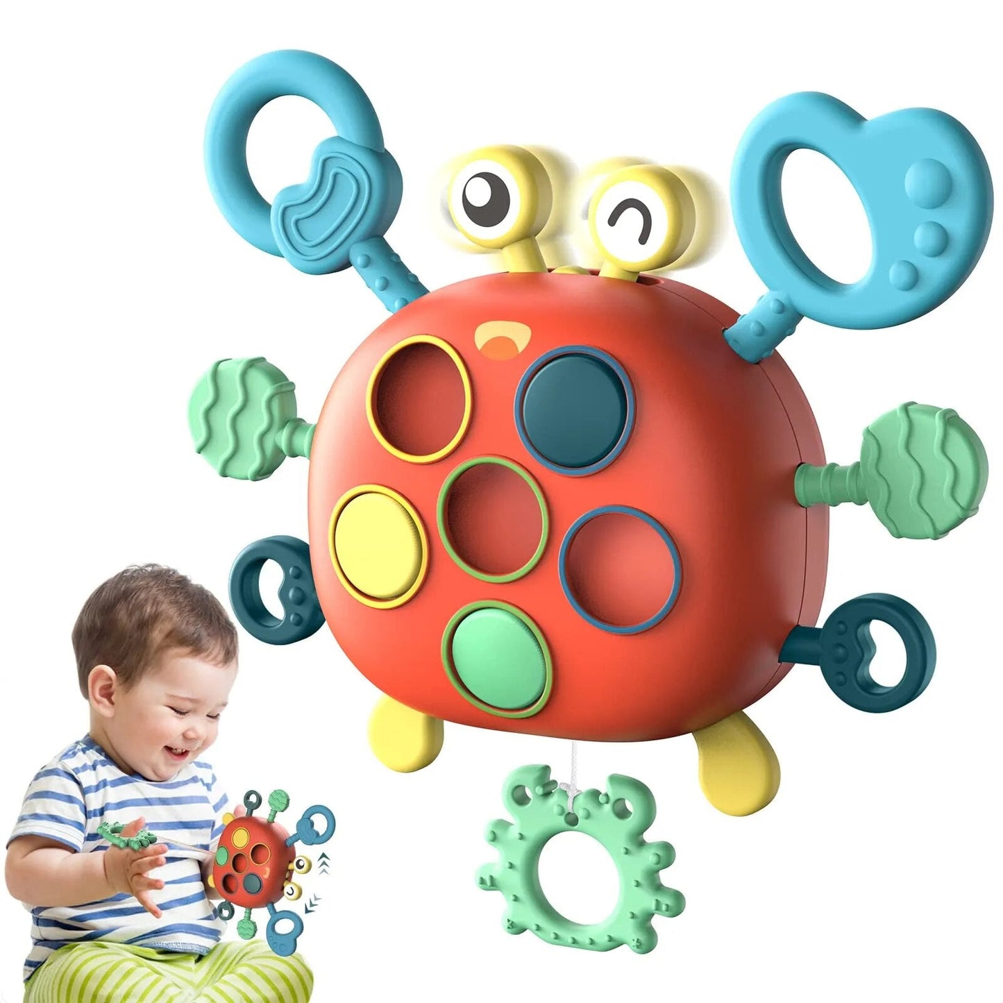 Sensory crab- zauberhafter motor - sensorisches spielzeug