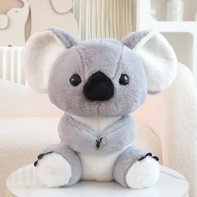 Australienfreund – Kuscheliger Koala