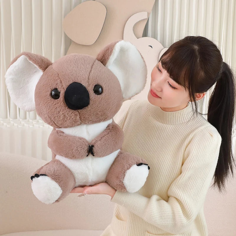 Australienfreund – Kuscheliger Koala