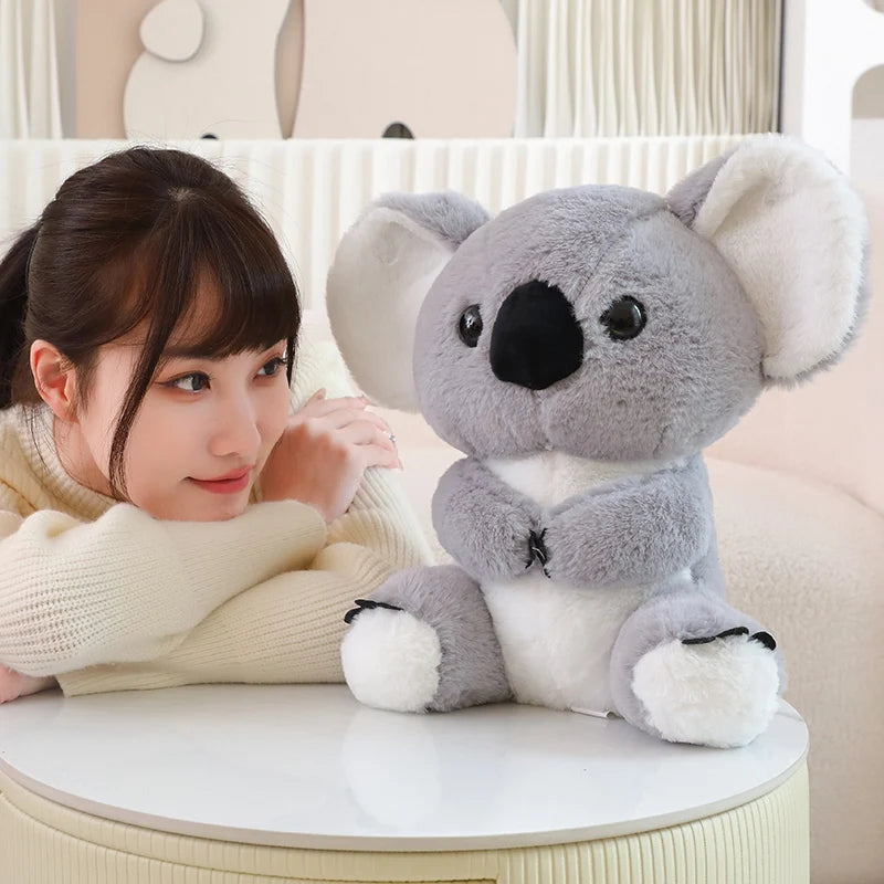 Australienfreund – Kuscheliger Koala