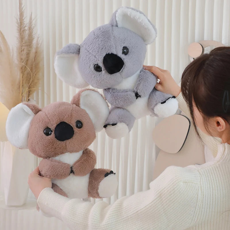 Australienfreund – Kuscheliger Koala