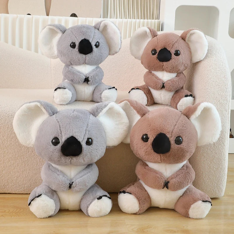 Australienfreund – Kuscheliger Koala