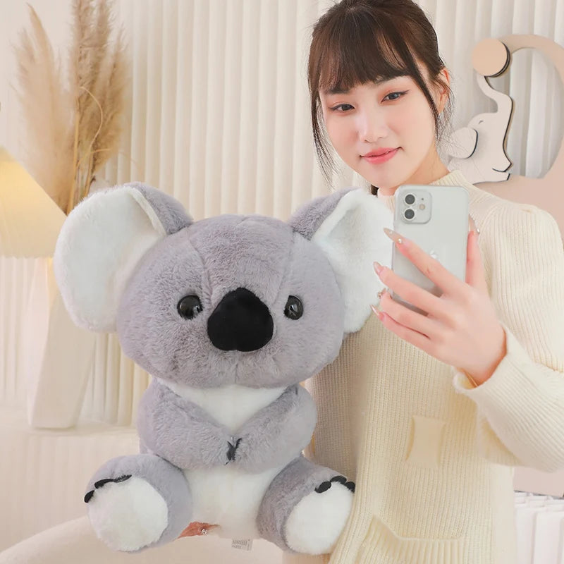 Australienfreund – Kuscheliger Koala