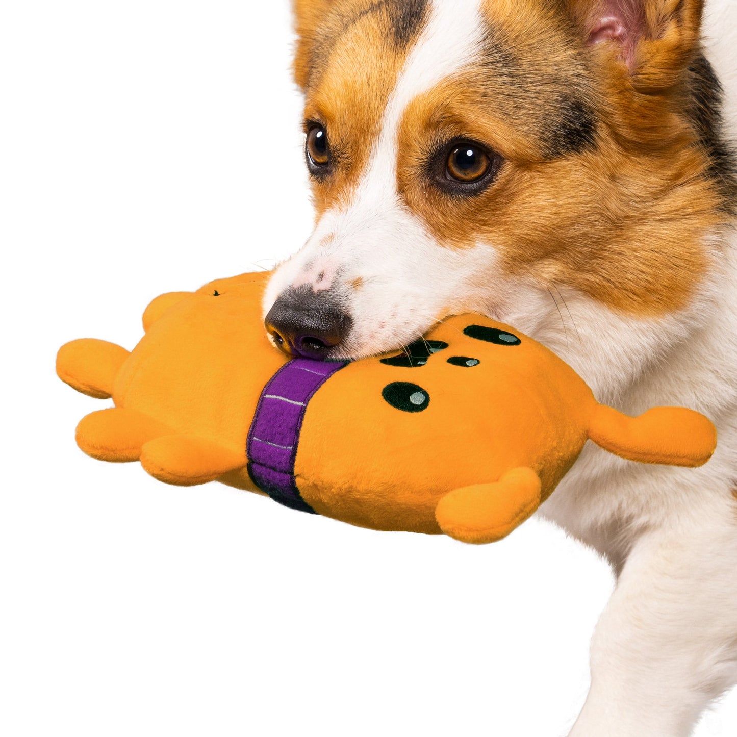 Spielspaß Giggle Buddy