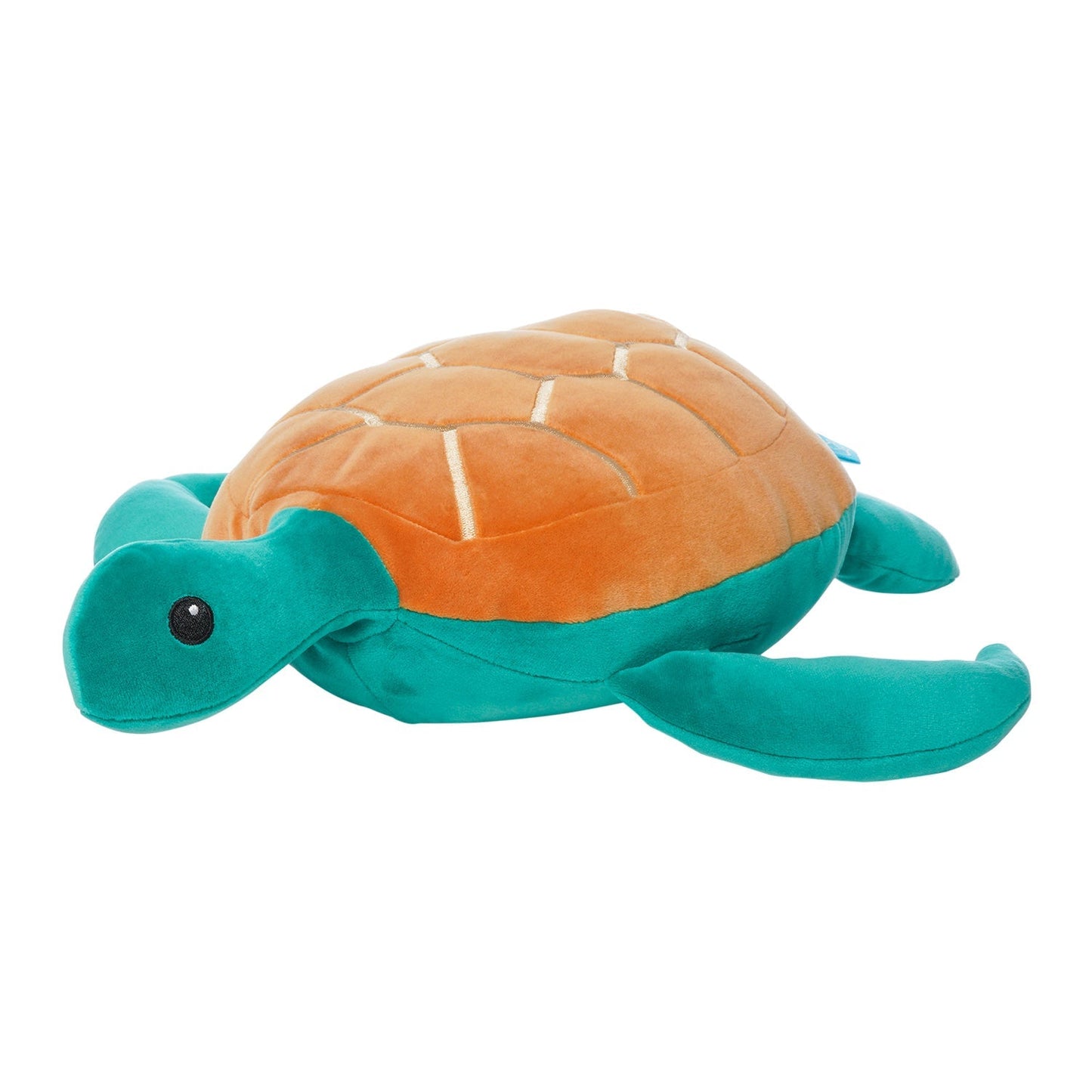 Samtige Salzwasserschildkröte