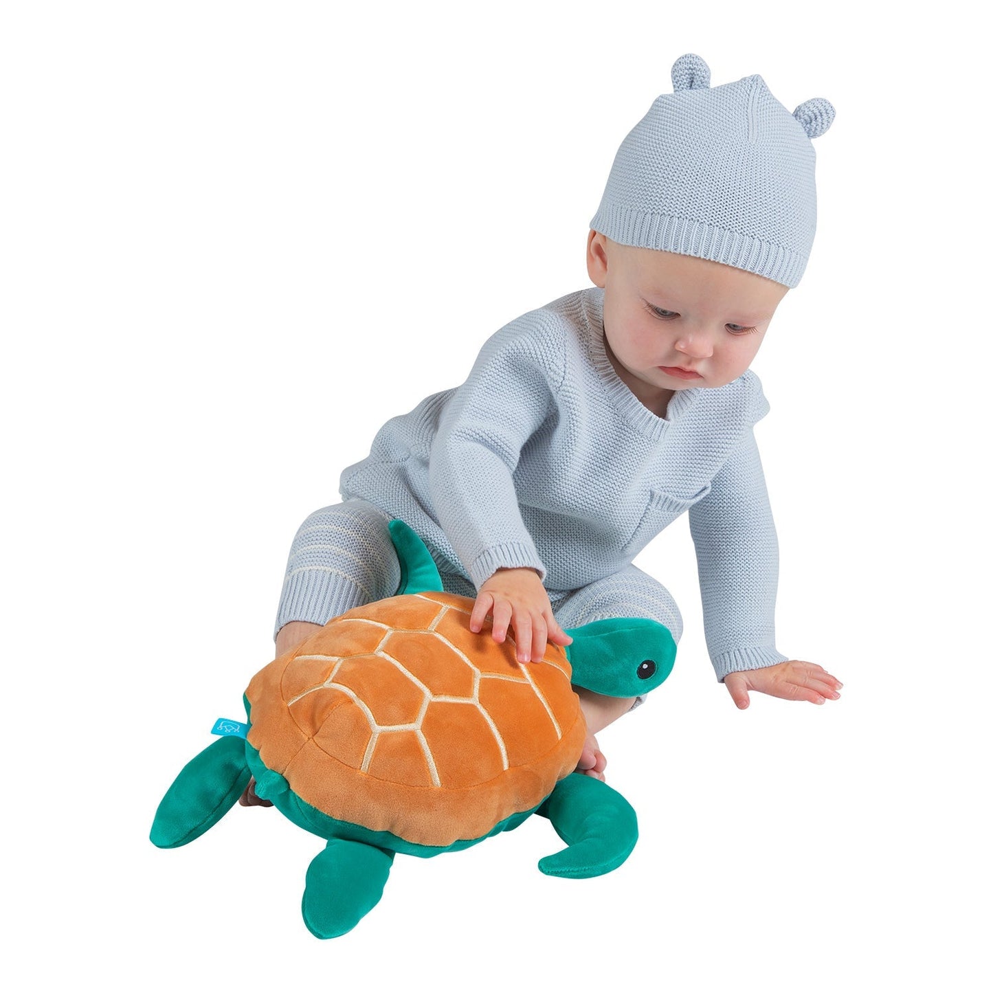 Samtige Salzwasserschildkröte