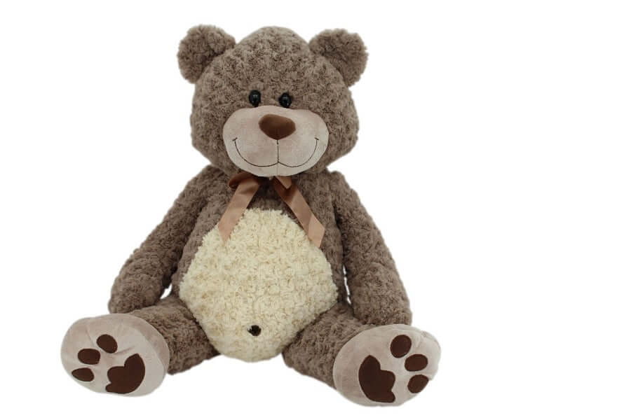 Teddybär – Kuscheliger Plüschbegleiter