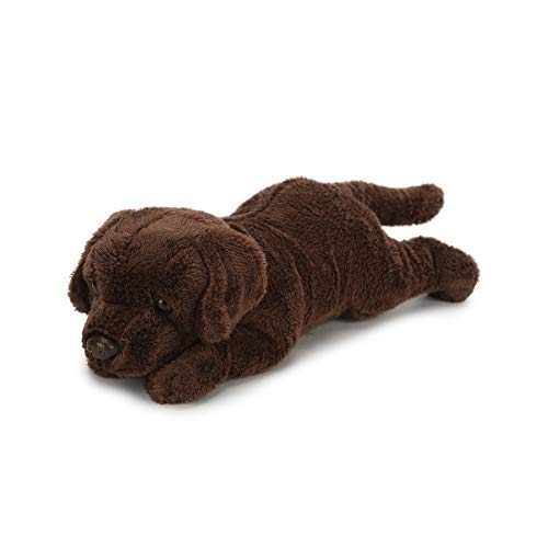 Liebenswerter Labrador Kuschelhund