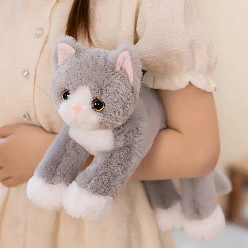 Zauberblick - Schneeweiße Kuschelkatze