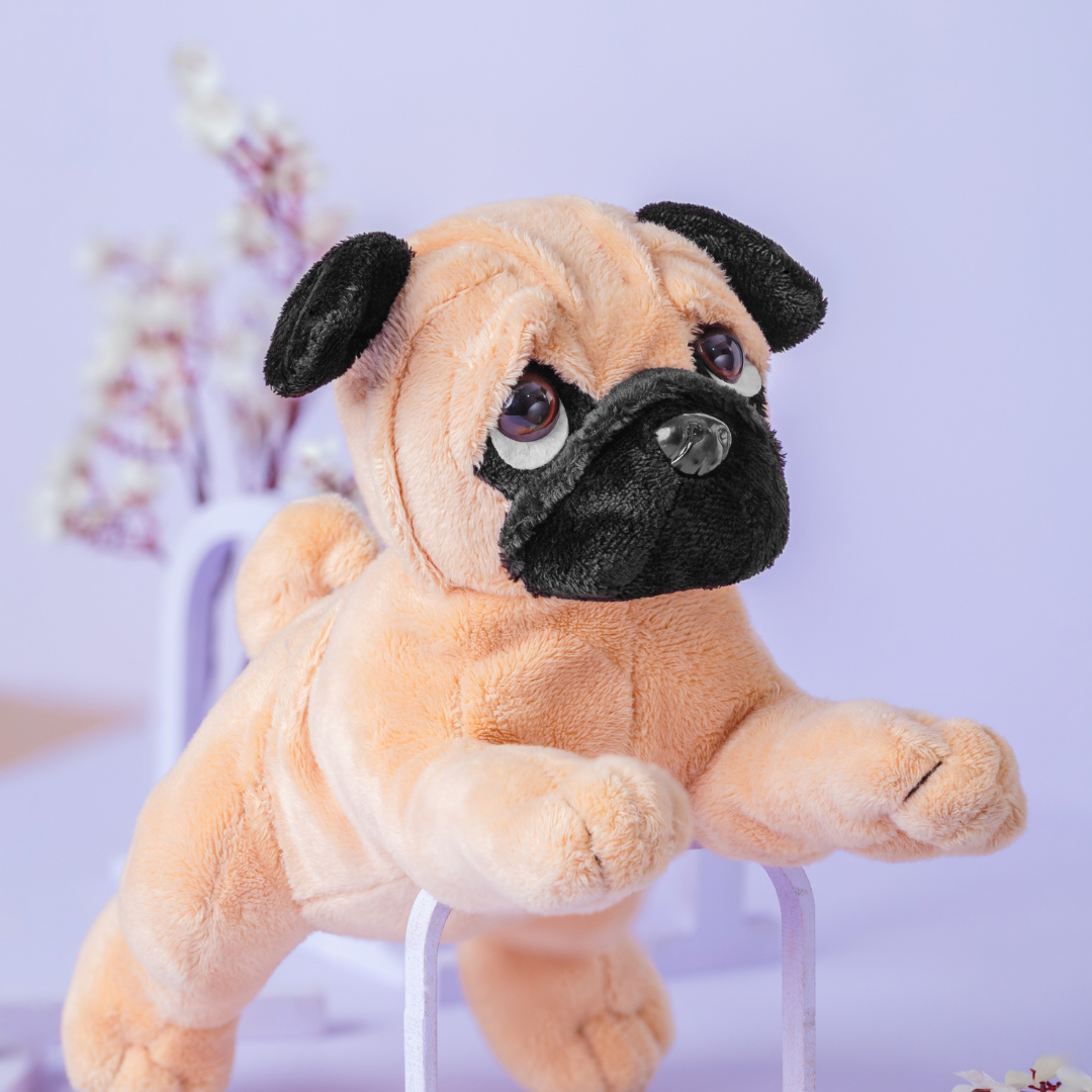 Puggy - Knuddeliger Spielkamerad