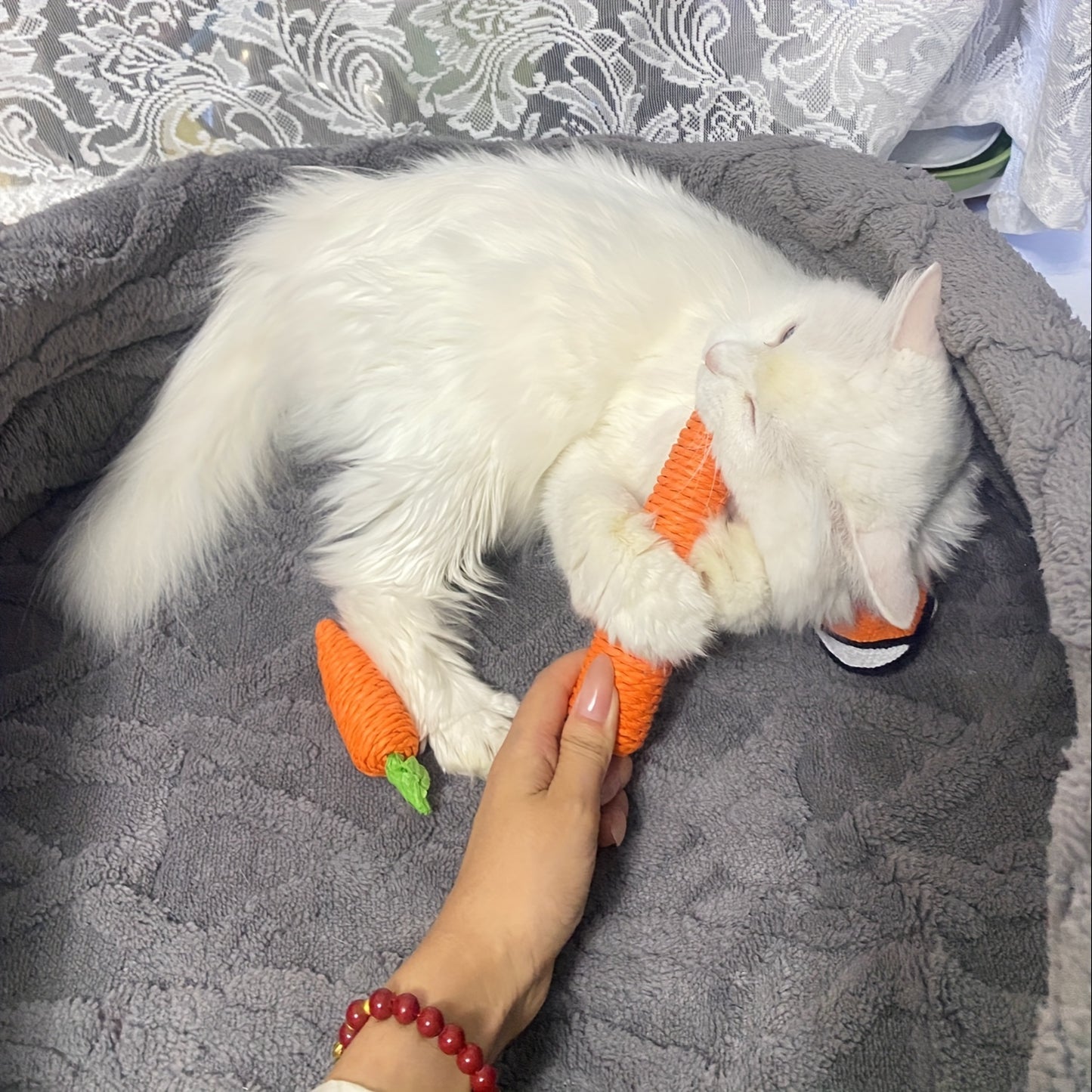 Lustige Karotten-Kauspielzeug für Haustiere