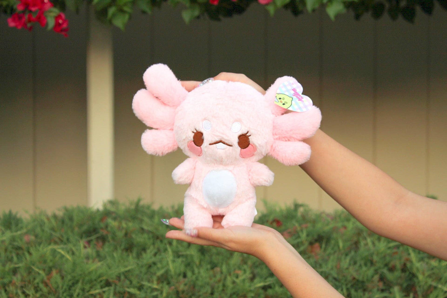 Süßer Maxolotl Kuschelaxolotl