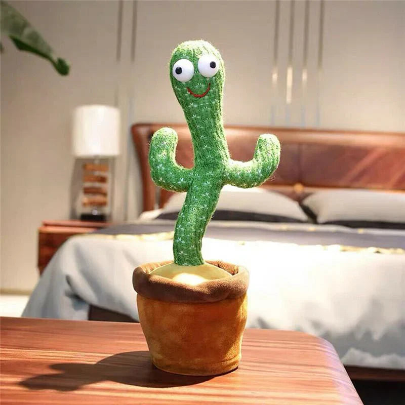 Grooviger kaktus
