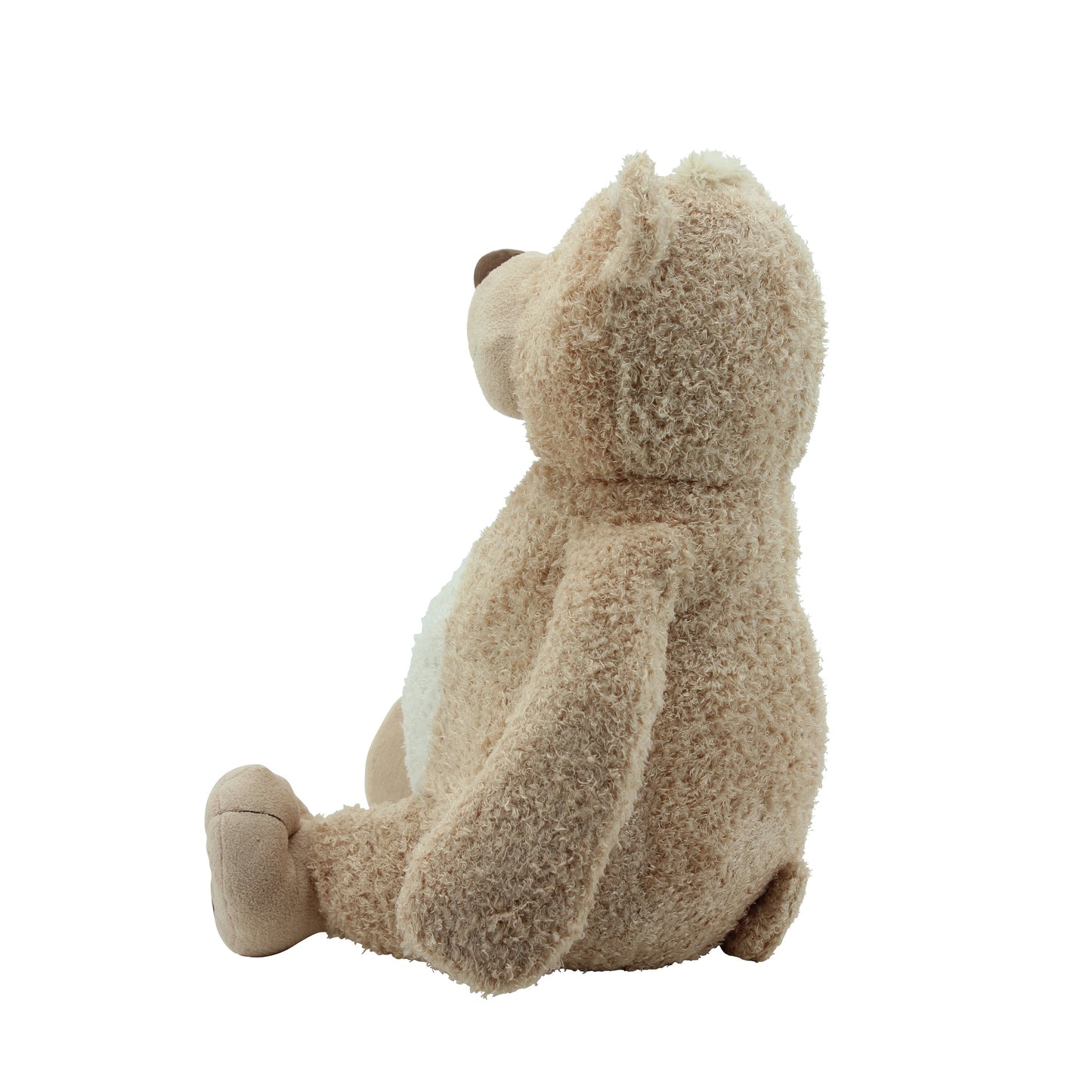 Teddy Willibär – Kuschelfreund für Haustiere