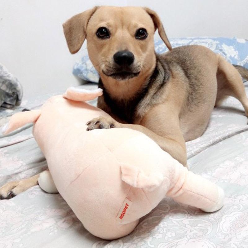Knuddeliges Schweinchen Kuscheltier