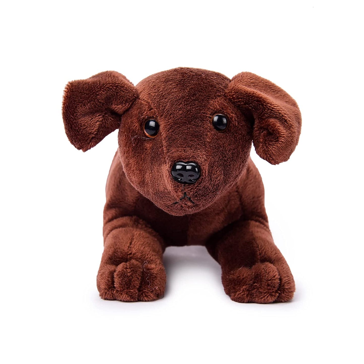 Liebenswerter Labrador Kuschelhund