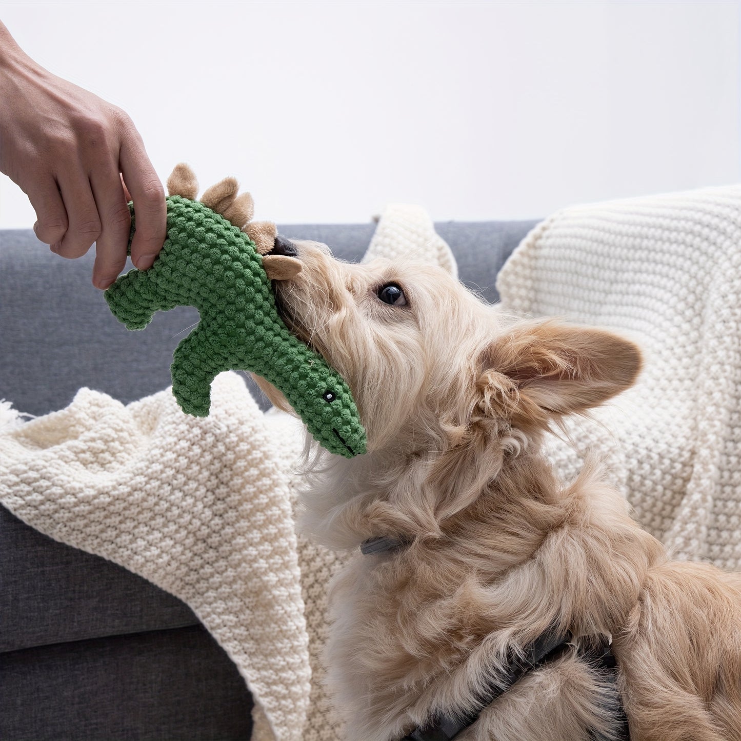Niedlicher Dinosaurier Zähneknirschendes Spielzeug