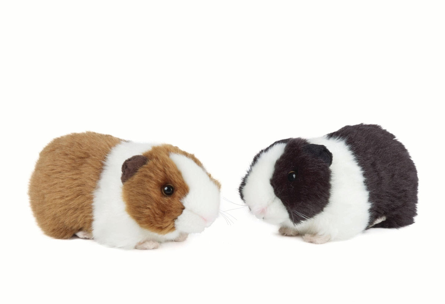 Pips - interaktives meerschweinchen