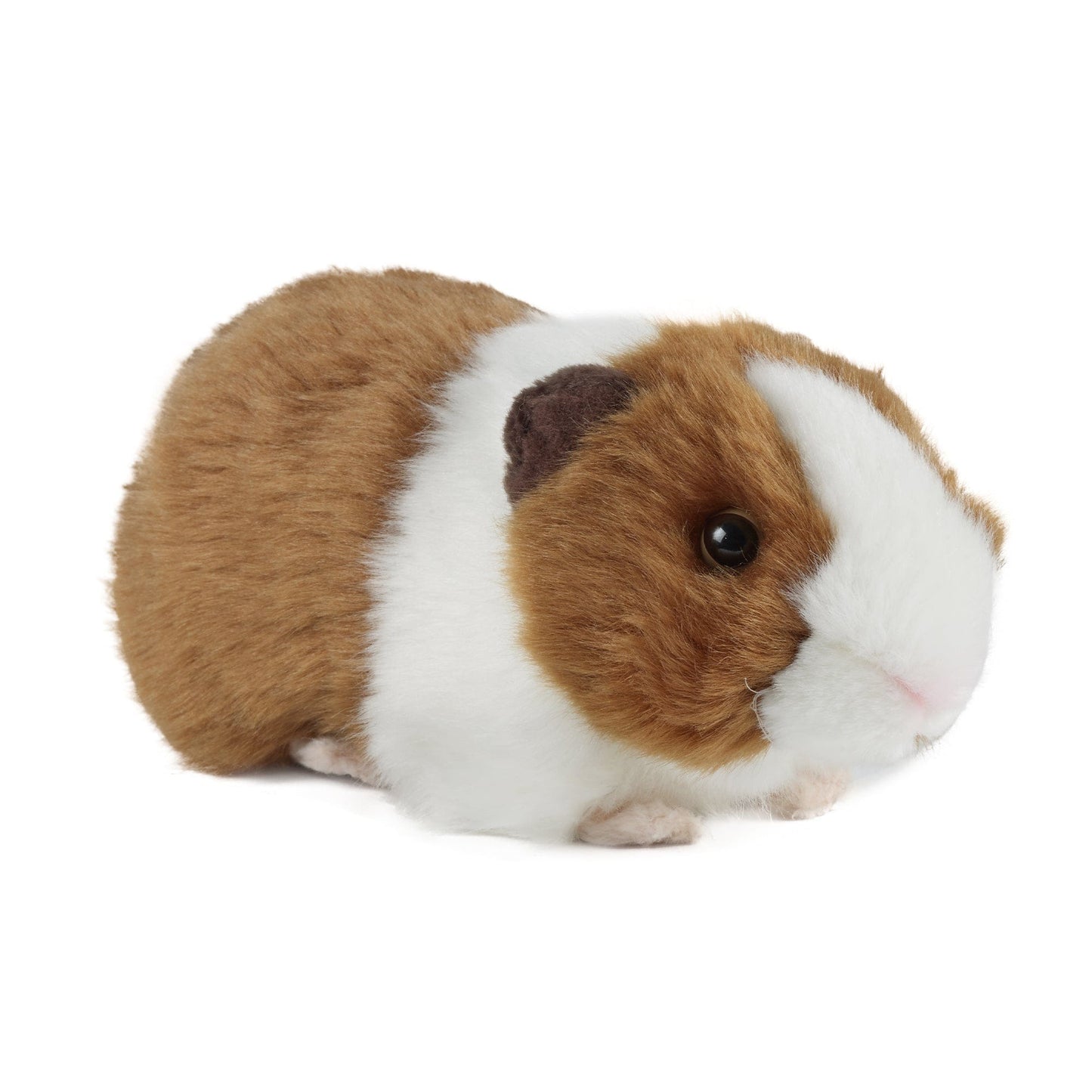Pips - interaktives meerschweinchen