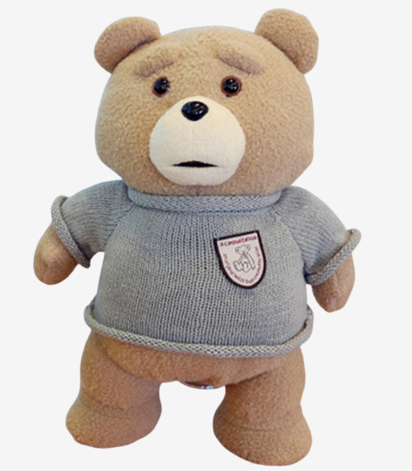 Teddybär im Kostüm
