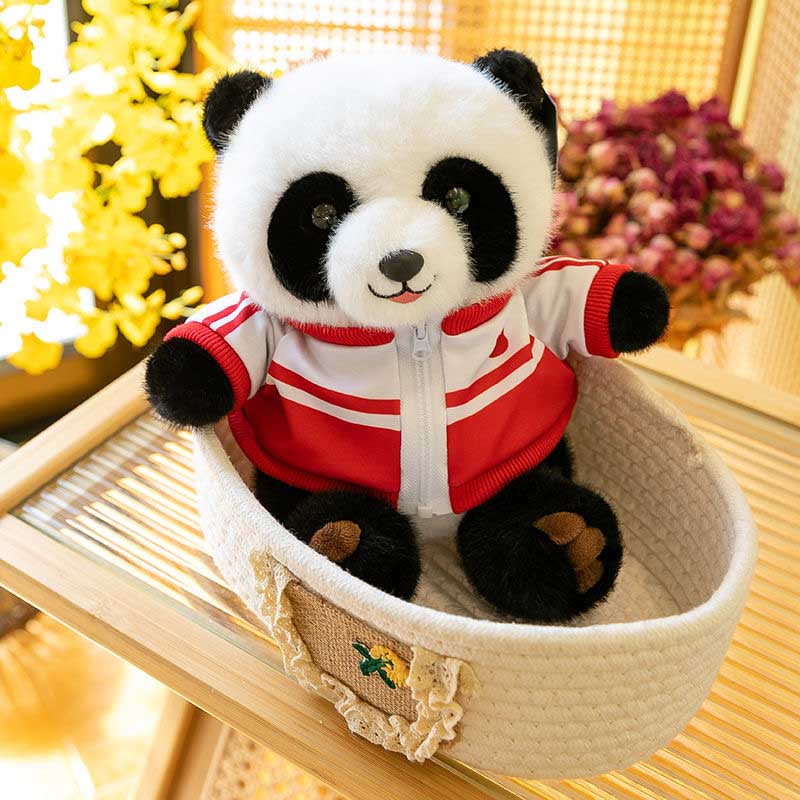 Panda in blauer Jacke