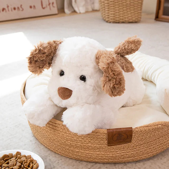 Kuscheliger Spielgefährte Hund
