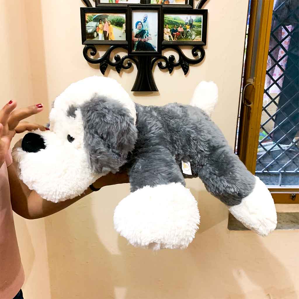 Kuschelhund