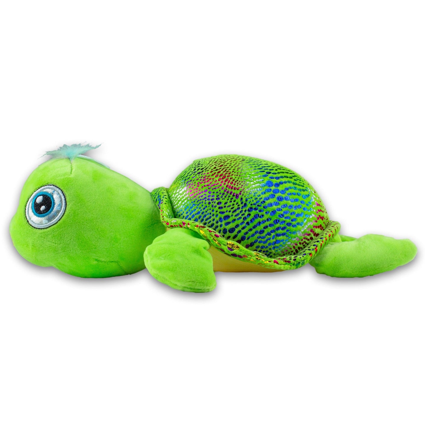 Grüne Schildkröte - Farbenprächtiger Kuschelfreund