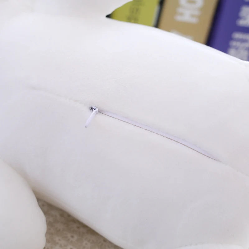 Miez, der Kuschelkater