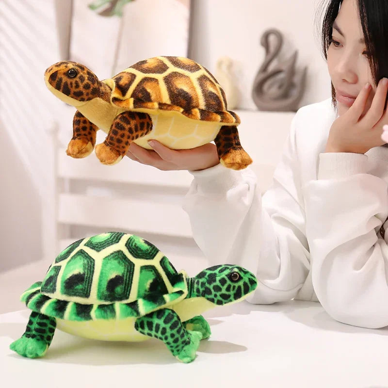 Plüsch-Schildkröte Sanfter Freund