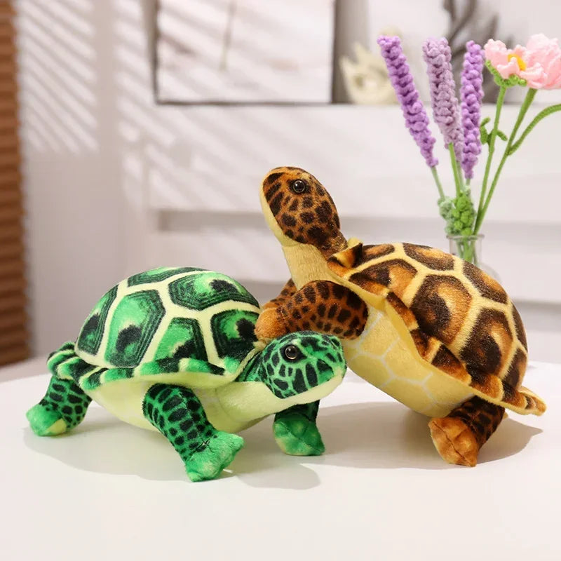 Plüsch-Schildkröte Sanfter Freund