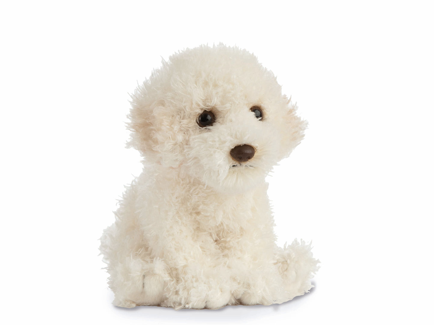 Kuschel-Labradoodle Welpe