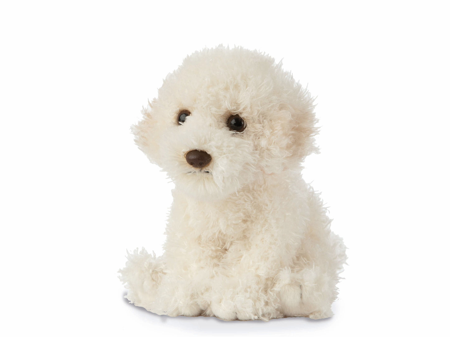 Kuschel-Labradoodle Welpe