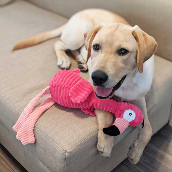 Flauschiger Spielspaß Flamingo