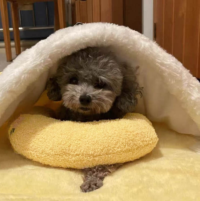 Gemütlicherruhe kissen für hunde