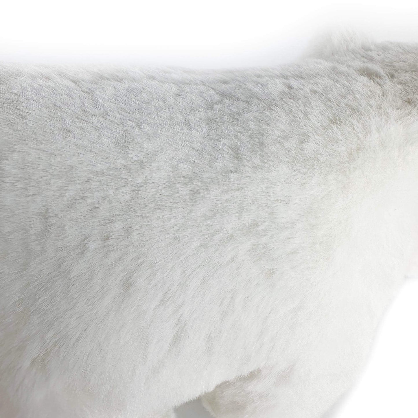Niedlicher Realistischer Eisbär