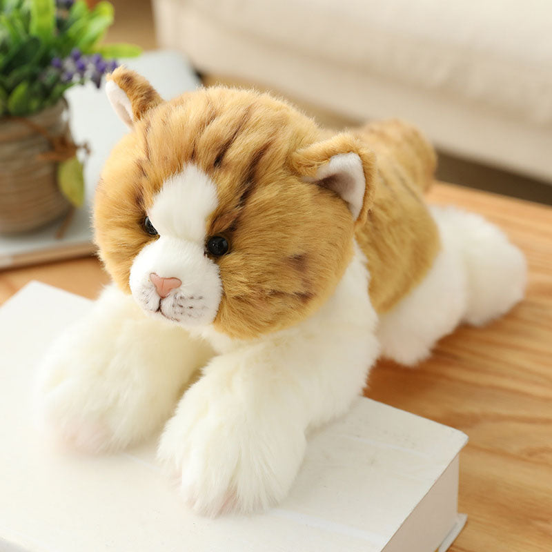Realistische niedliche orangefarbene Katze