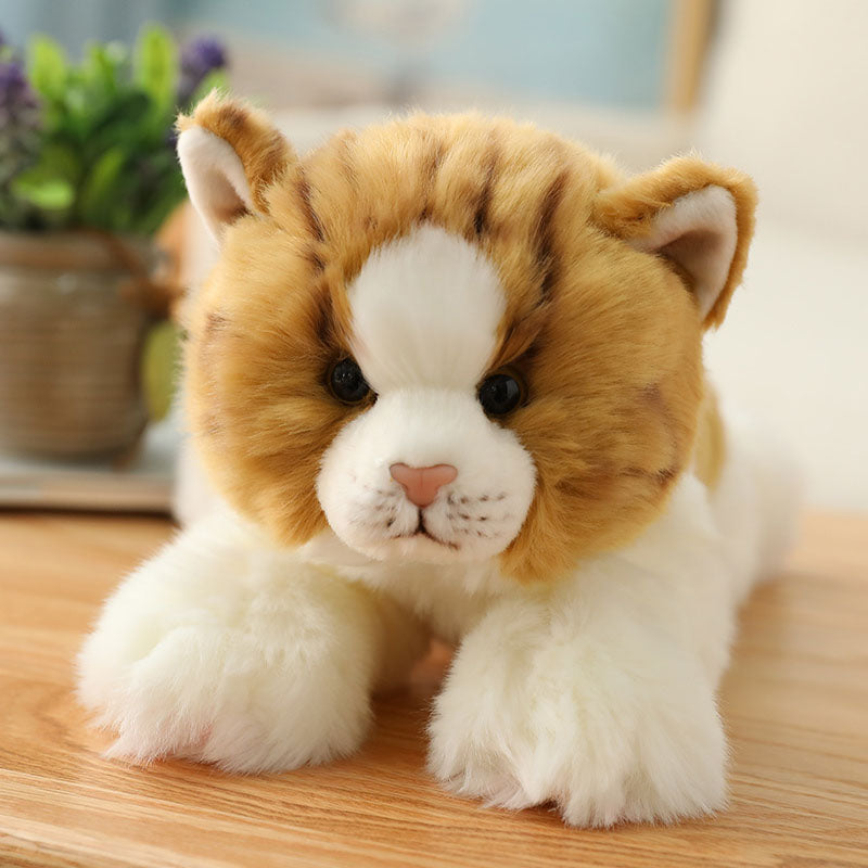 Realistische niedliche orangefarbene Katze