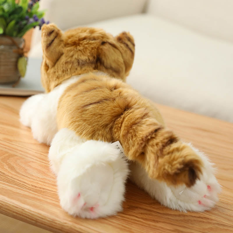 Realistische niedliche orangefarbene Katze