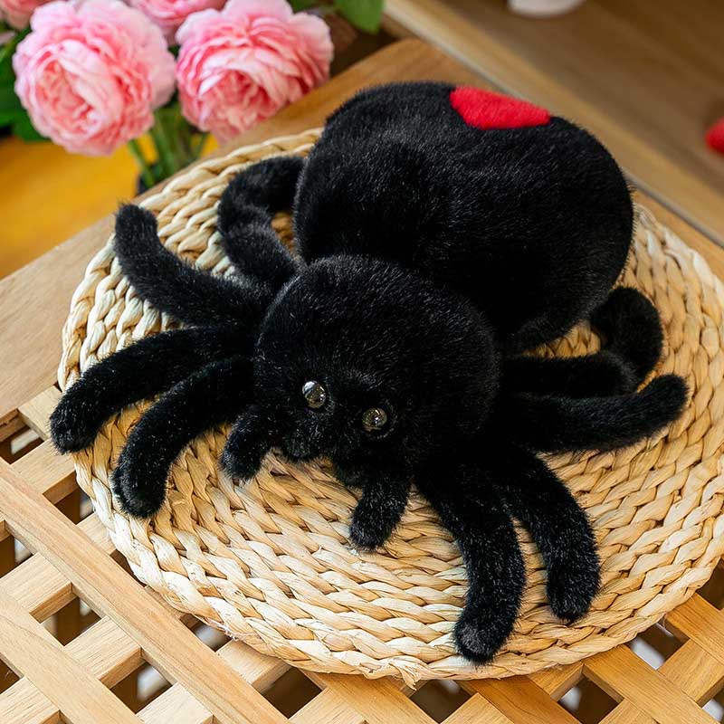 Flauschige Weiße Spinne