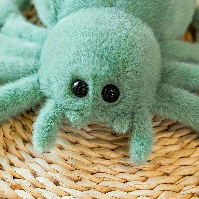 Flauschige Weiße Spinne