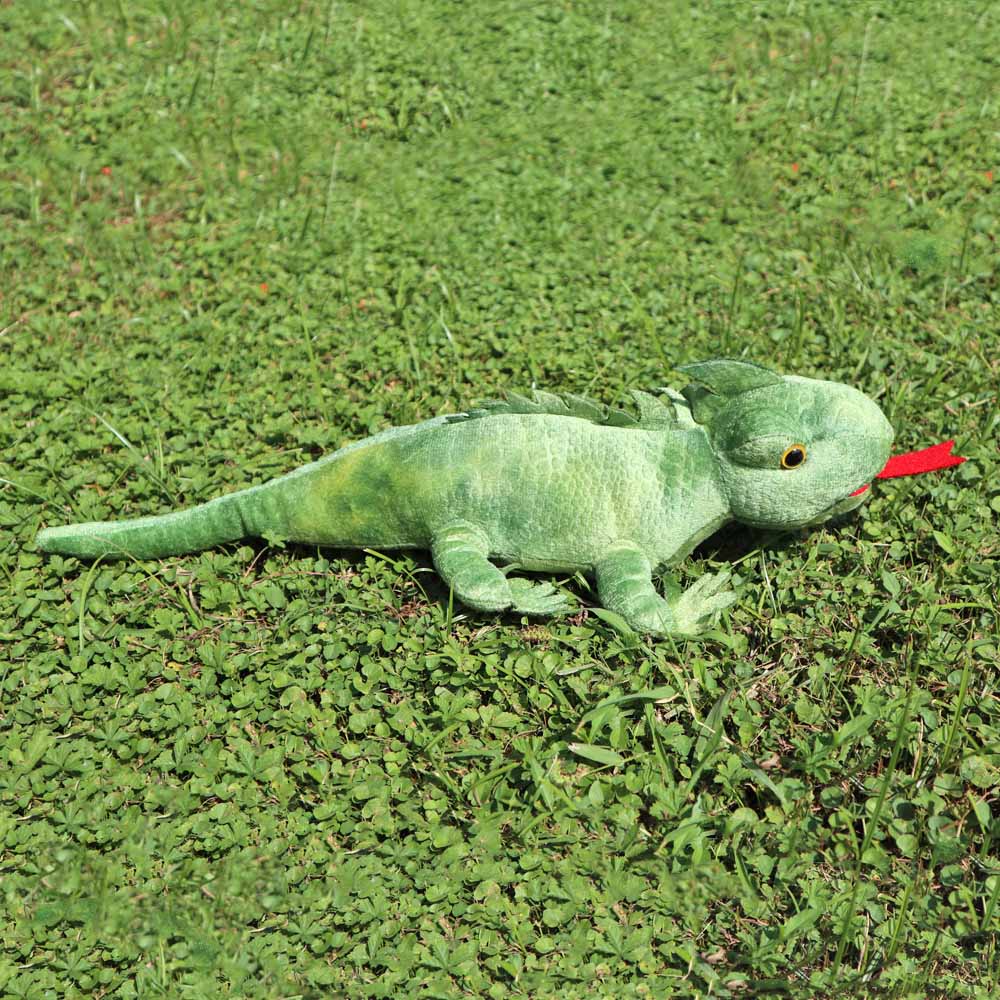 Iggy - Plüsch-Iguana
