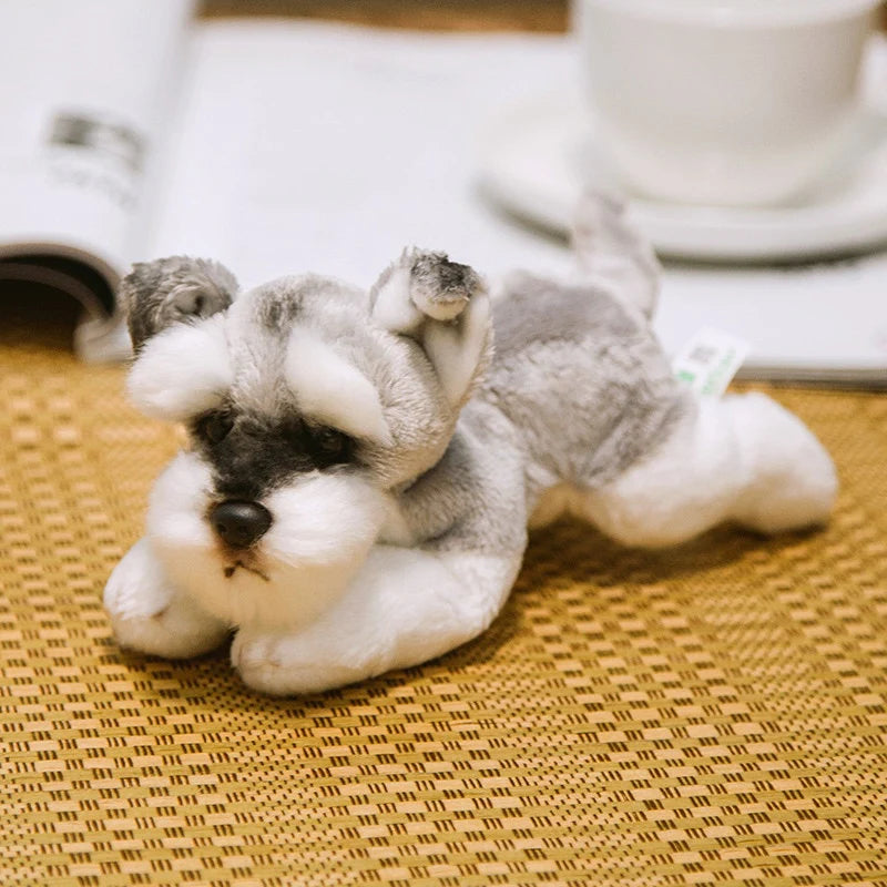 Schnauzer - Treuer Plüschfreund