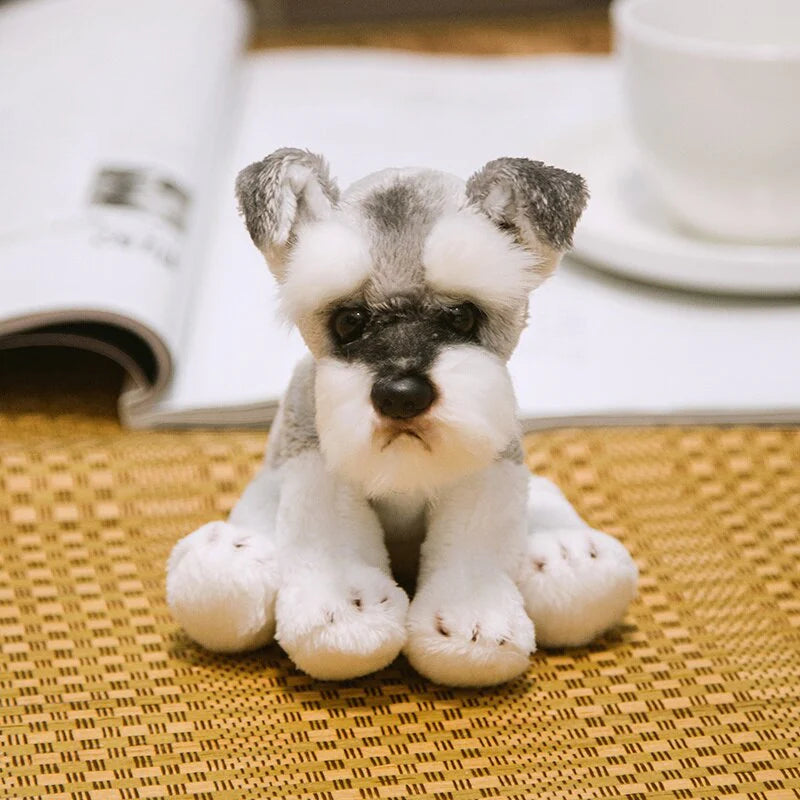 Schnauzer - Treuer Plüschfreund