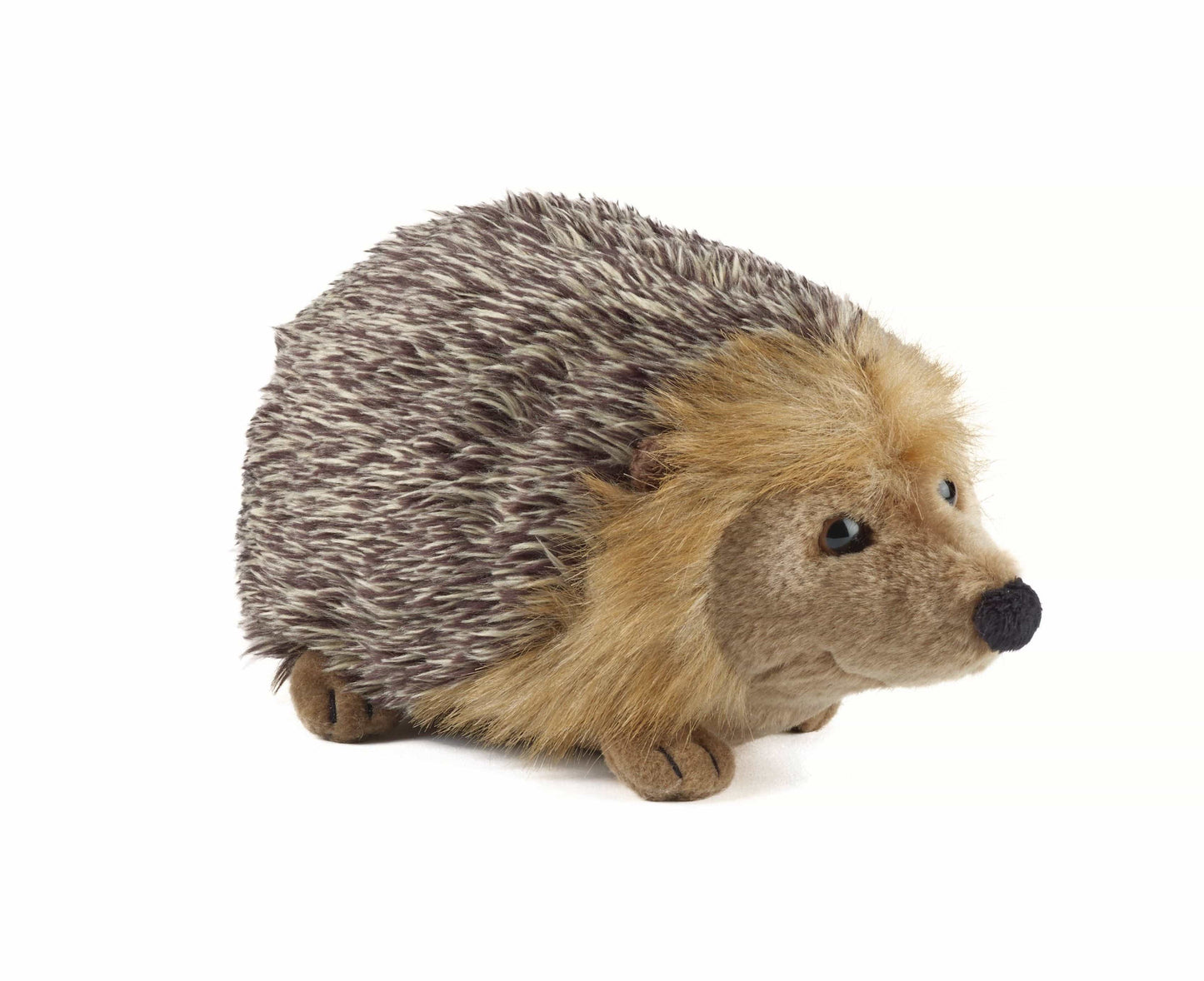 Hugo - Kuscheliger Stachelgenosse