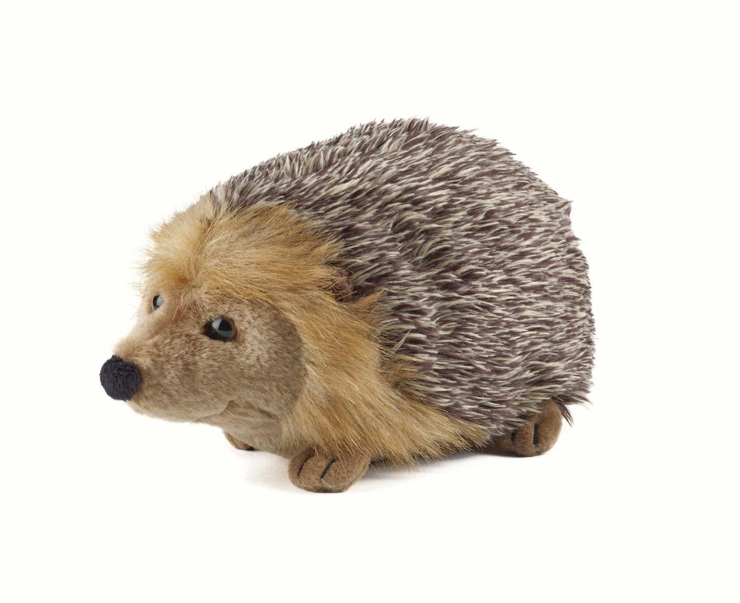 Hugo - Kuscheliger Stachelgenosse